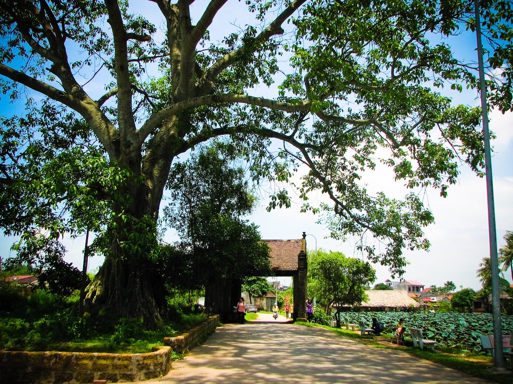 Đồng đội của anh tôi