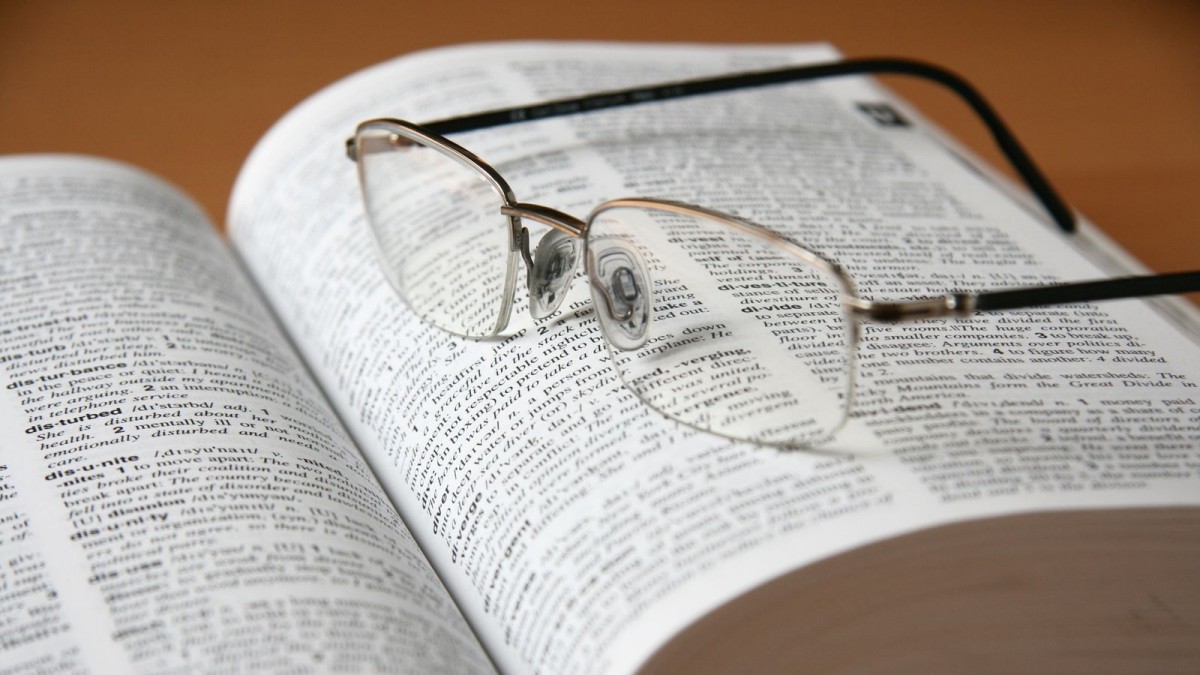 Các từ “delulu”, “tradwife”, “skibidi” bước vào từ điển Cambridge